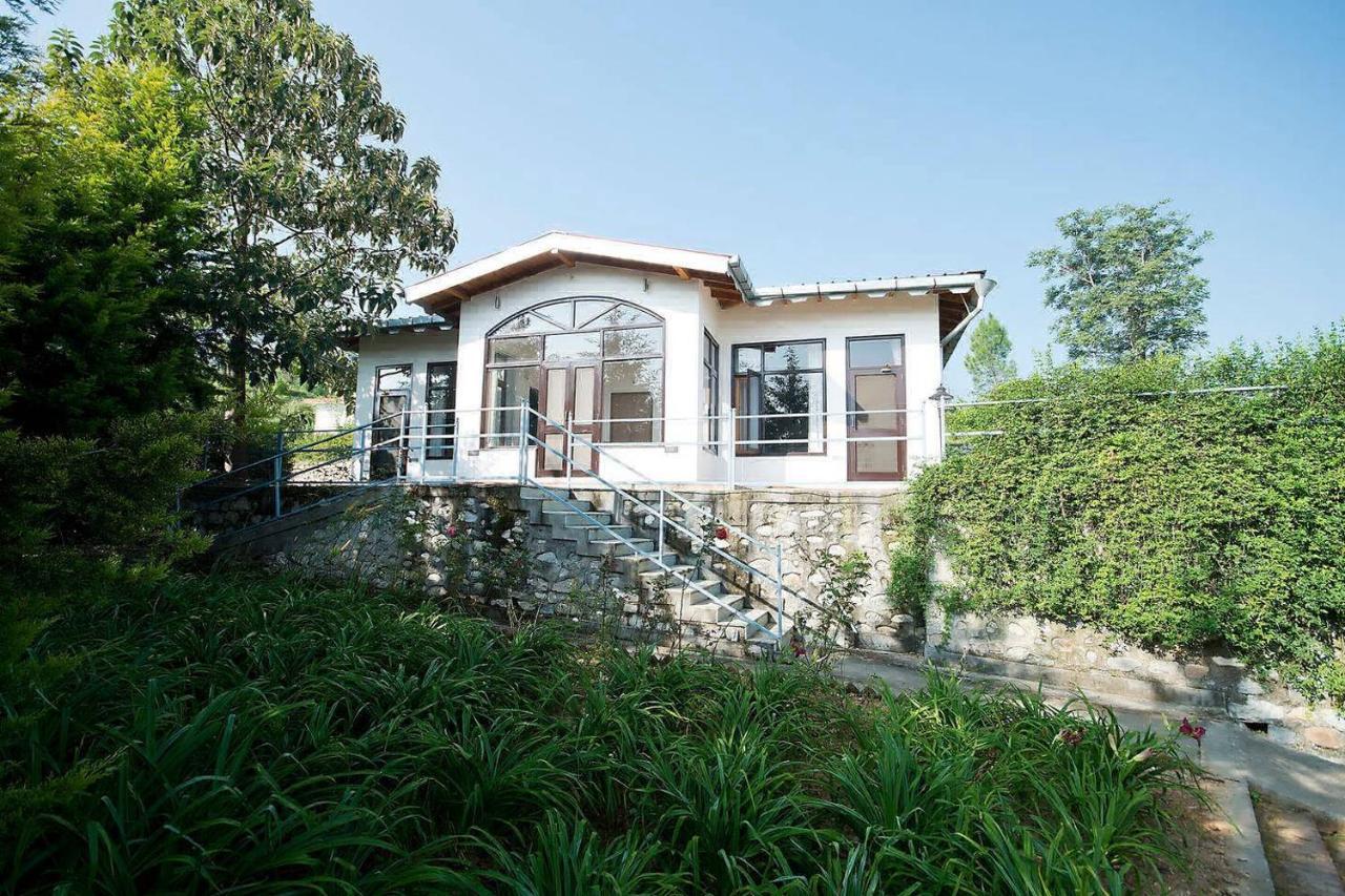 Tree Of Life Junoon In The Hills Kumaon